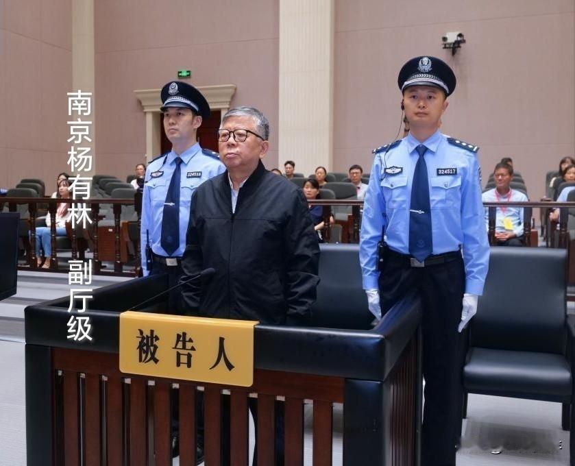杨有林，南京经开区原常务副主任（副厅级）受贿22.14亿元。
    一个副厅级