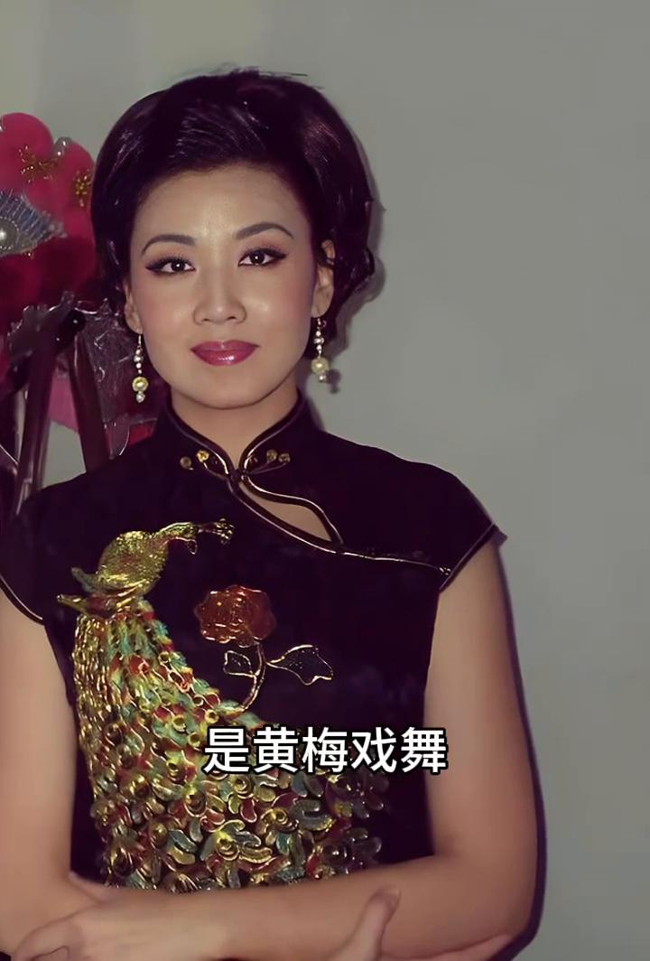 她容貌清丽脱俗，是黄梅戏舞台上一颗璀璨明星。嗓音婉转似莺啼，身段灵动如流水。往昔