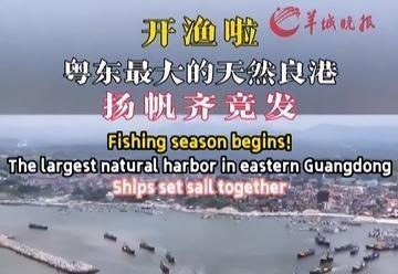 这笔账太沉重。中日东海一旦走火，你以为只是军舰对轰？长三角和粤港澳两大经济引擎，