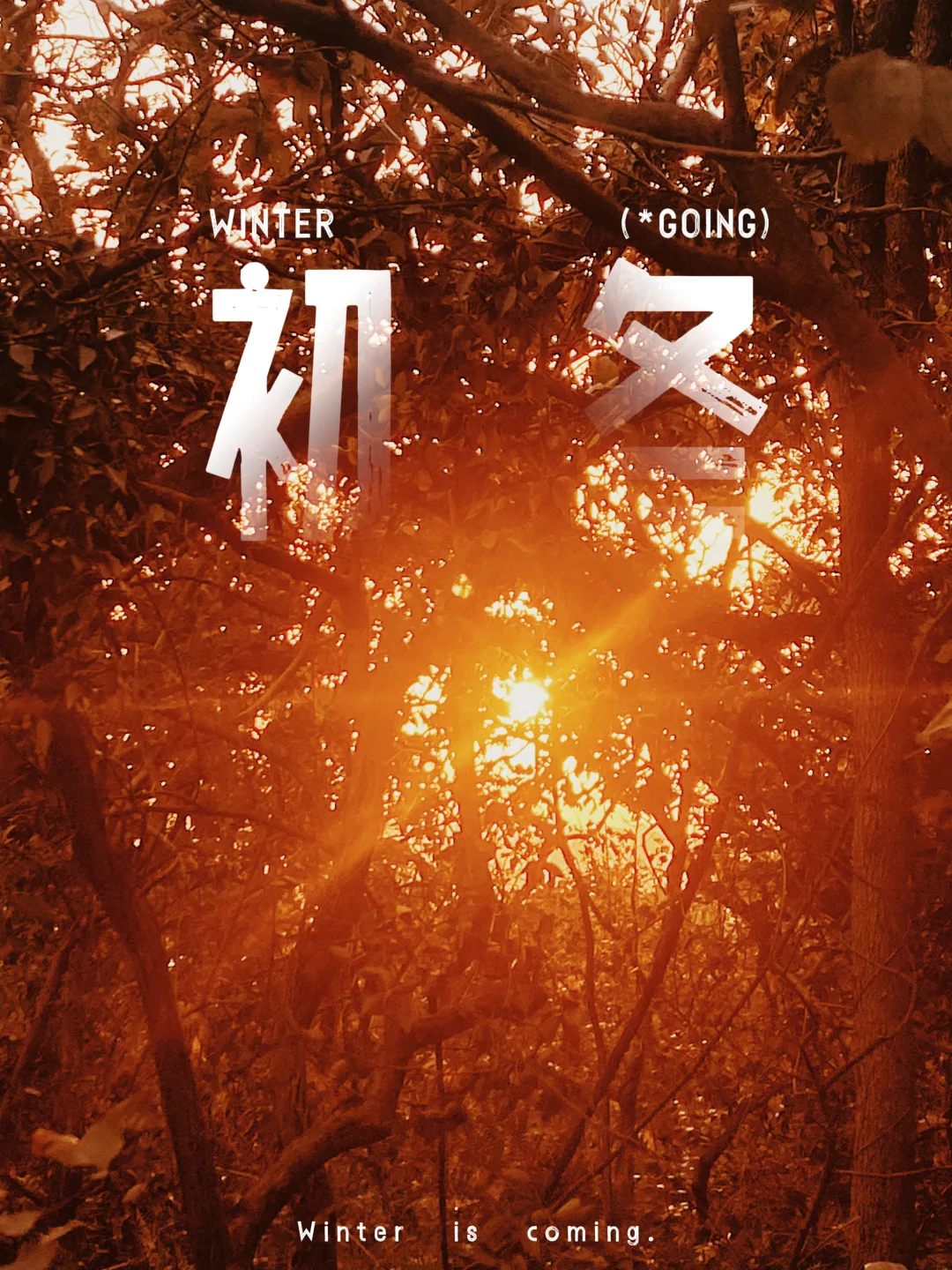 惠山 | 独寻秋韵于心间