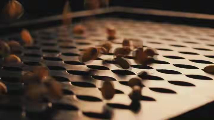 微观高质量发展｜一粒种子里的“粮食安全”
拌面筋道、烤馕香酥、凉皮酸爽……到过新