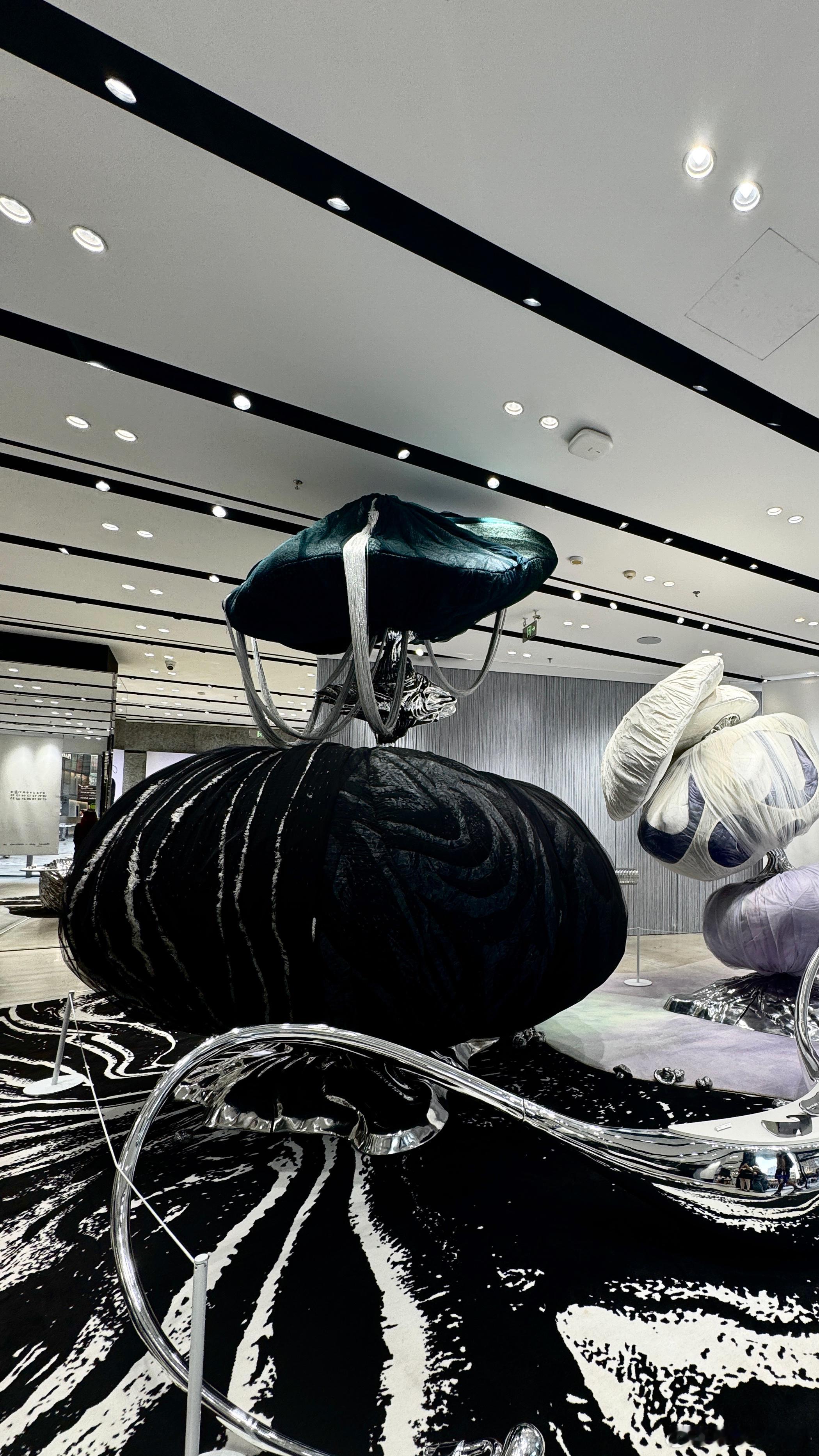 今天好事满满[期待] ​​​