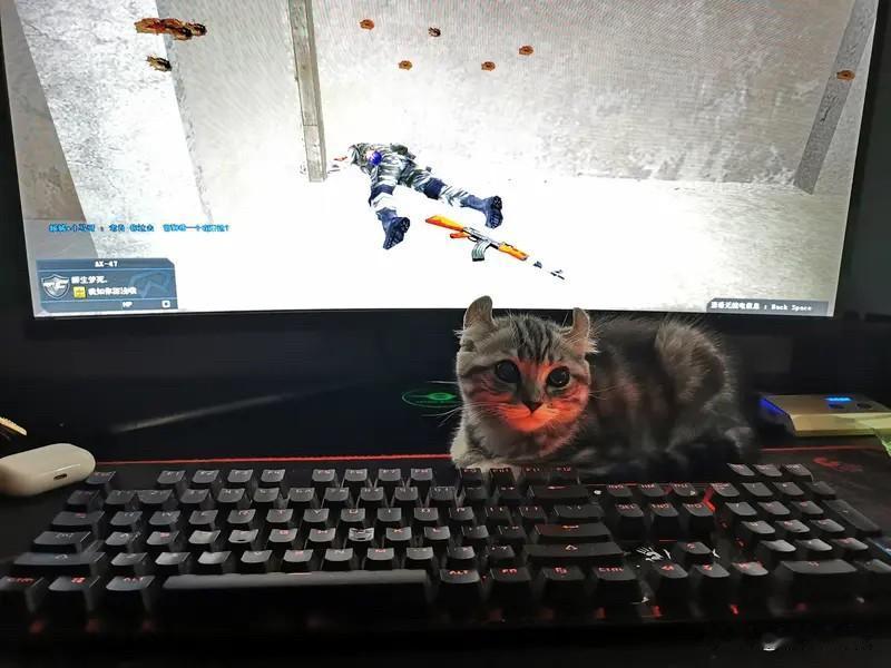 玩CSGO躲猫猫进不去可太闹心了。我之前也老遇到这问题，原因还挺多。有时候是服务