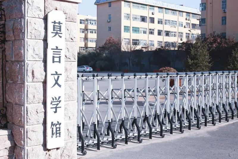 为你补充这一关键信息并润色文章：

00后对出莫言上联，10万奖金背后的文化新声