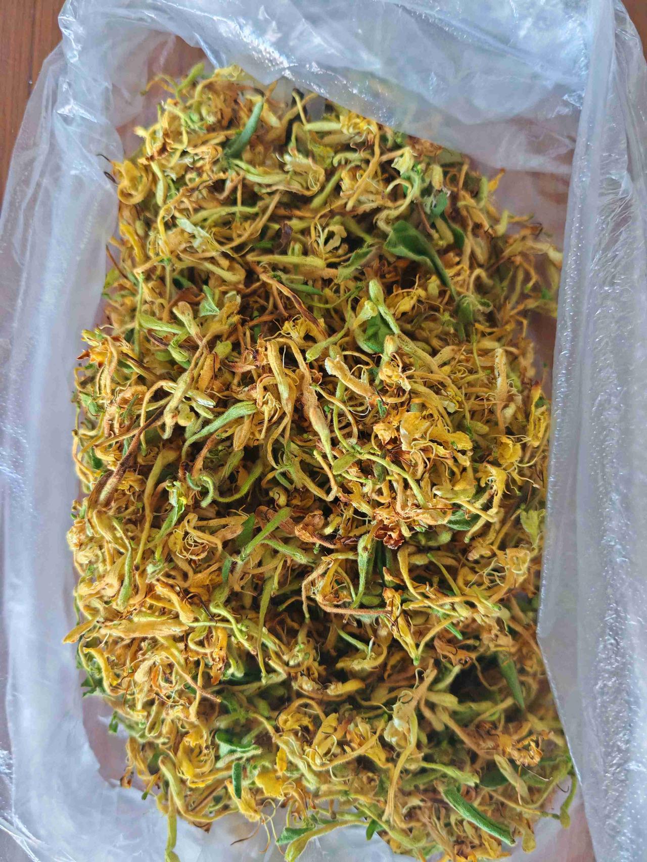 我的今日状态：💰期待暴富
我这里的天气：☀️晴天

今天是，8月1日，星期六，