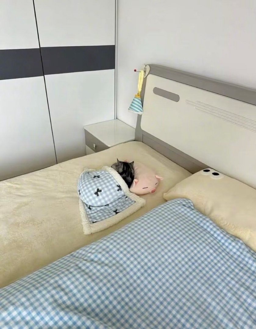 小羡咪 