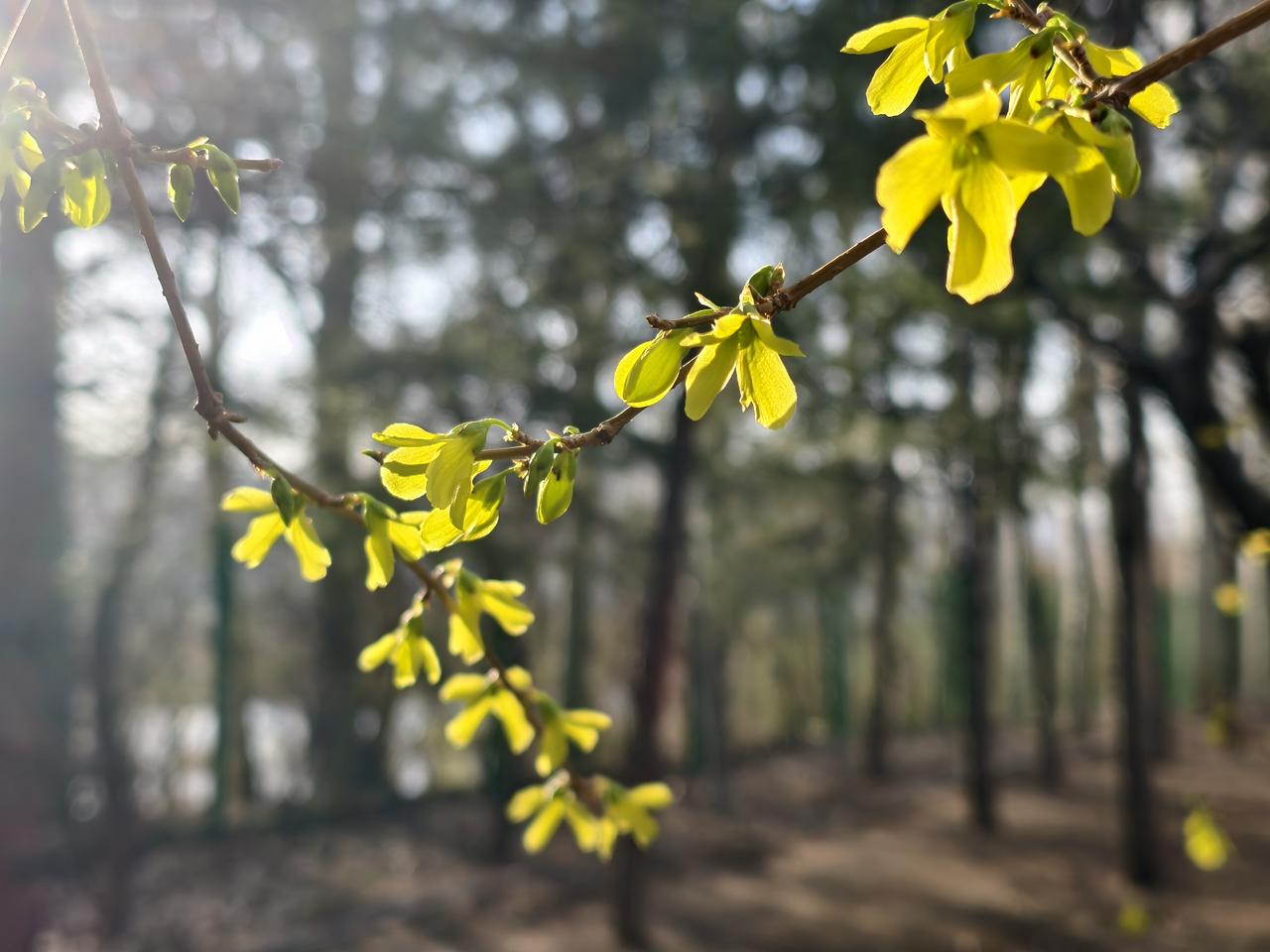 阳光下美景随手拍