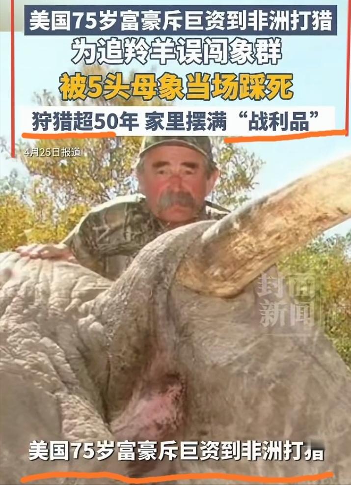 "这是我见过最解气的死法！" 美国富豪猎人被大象踩死的消息一出，全网沸腾。有人拍