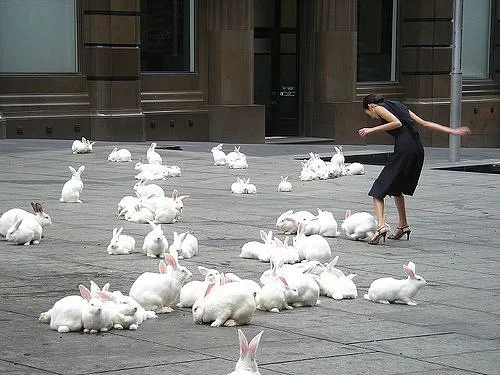 坦然面对衰老，接受自己的全部，包容自己，去尝试不同事情，成为更好的自己，与人生谈