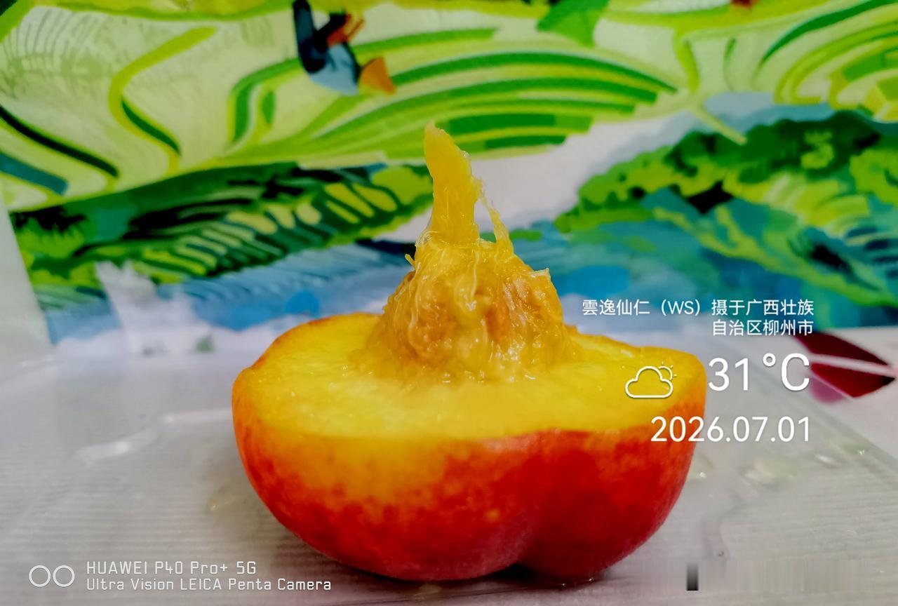月居生活记录（10040）广西壮族自治区柳州市（77）品尝小吃25：陕西渭南彩虹