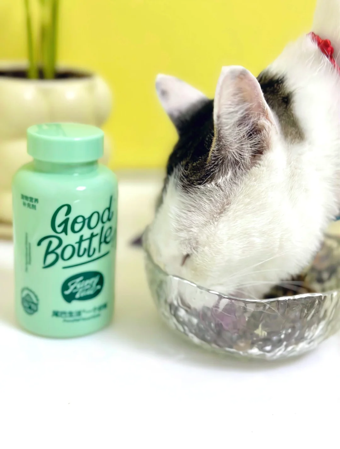 尾巴生活你别太离谱 警告你！！