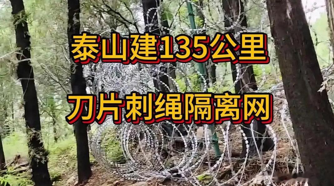 泰山，太高傲了泰山