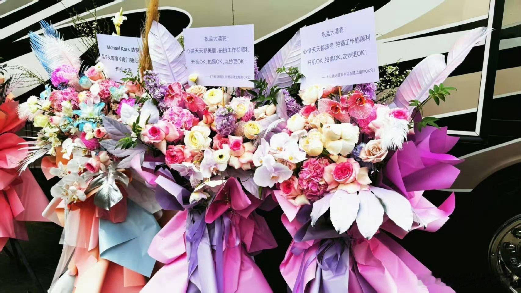 孟子义开机花篮 孟子义《将门独后》开机，品牌剧组的花篮多到数不过来！孟姐值得所有