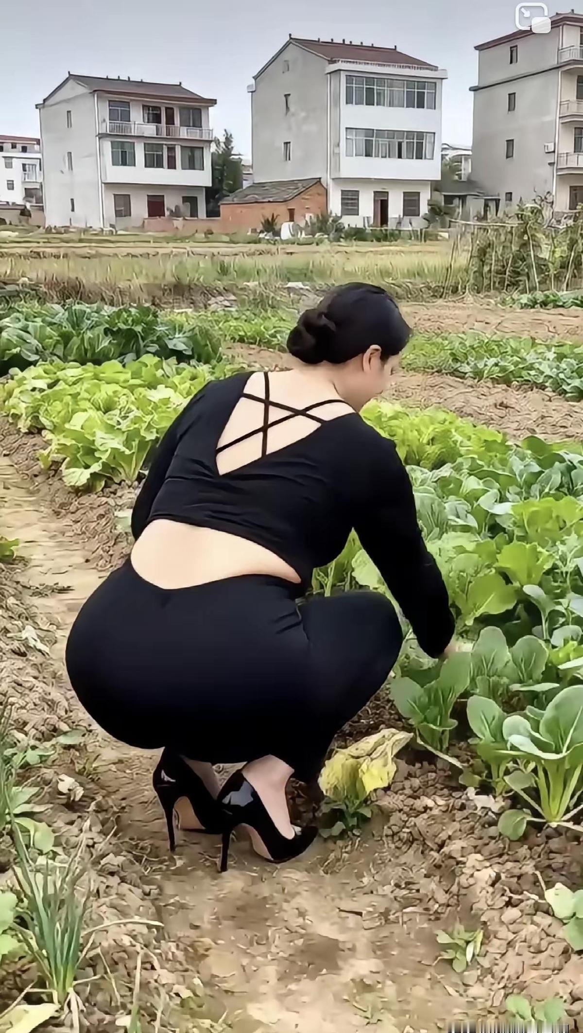 种菜是真香，谁家阳台不种点葱蒜？
不是为了省菜钱，是图个新鲜劲儿。
城里人玩起了