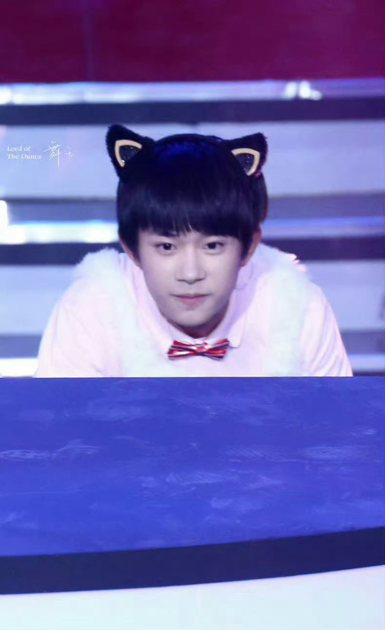 #易烊千玺[超话]#波斯猫 ​​​