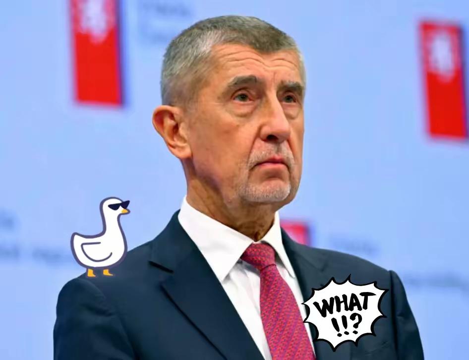 捷克总理表示了！
​当地时间1月6日，捷克总理安德烈·巴比什在巴黎参加“意愿联盟