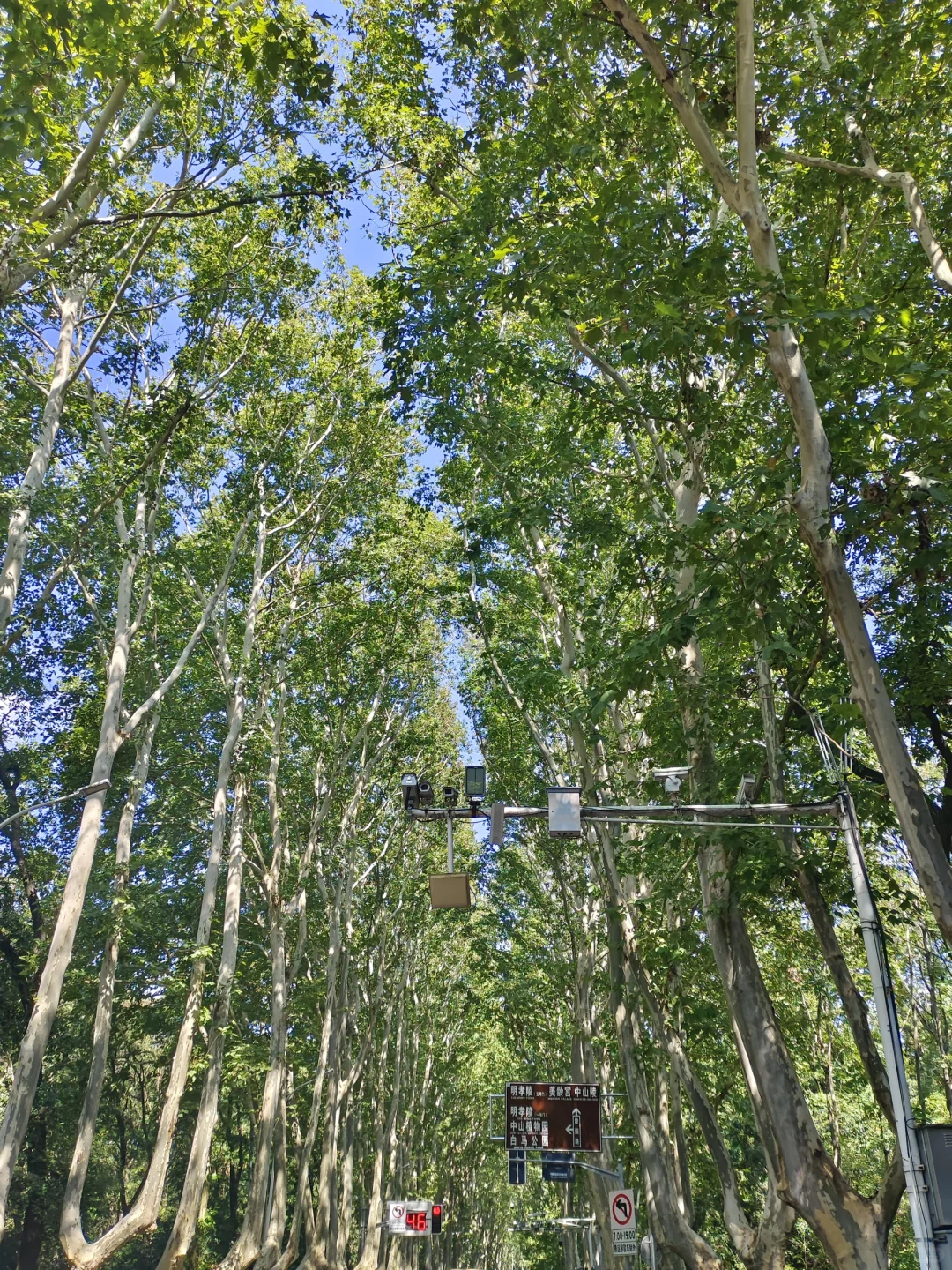 人生建议：放弃“赶路式”旅行