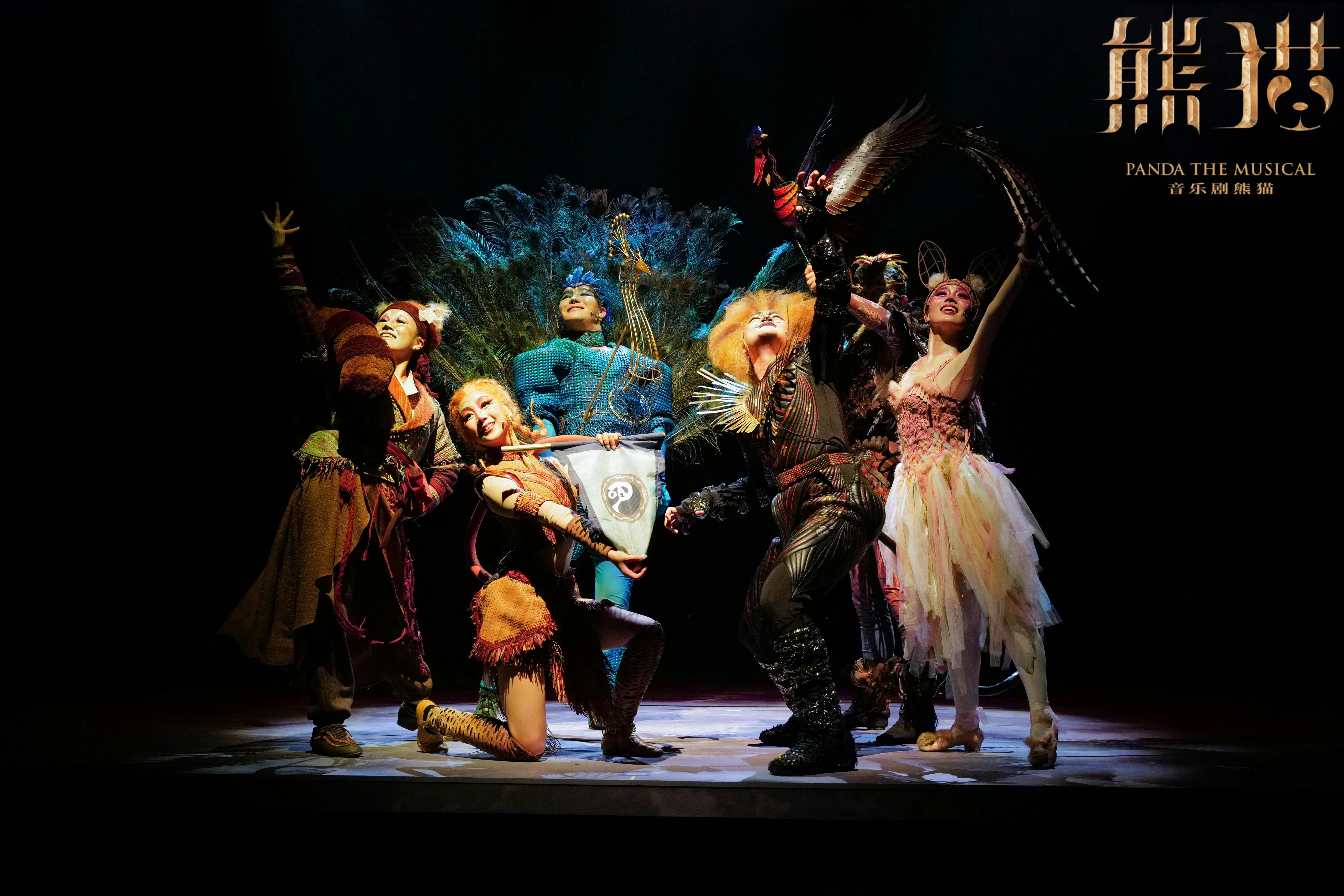 音乐剧熊猫 ✖️芝士福利社 全国首部熊猫主题情境演出《熊猫》限时福利来啦‼️20