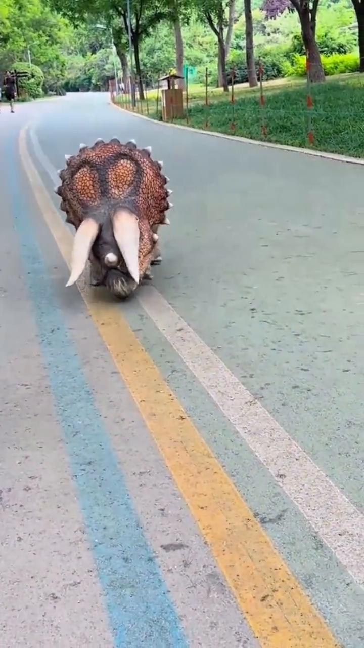 我也在看cp几期，其实故事恰当。