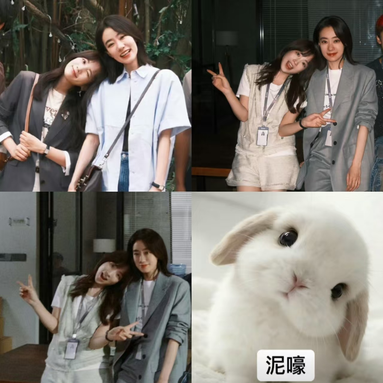 puppy puppy 爱黏人爱撒娇的little puppy。小狗不知道世界的