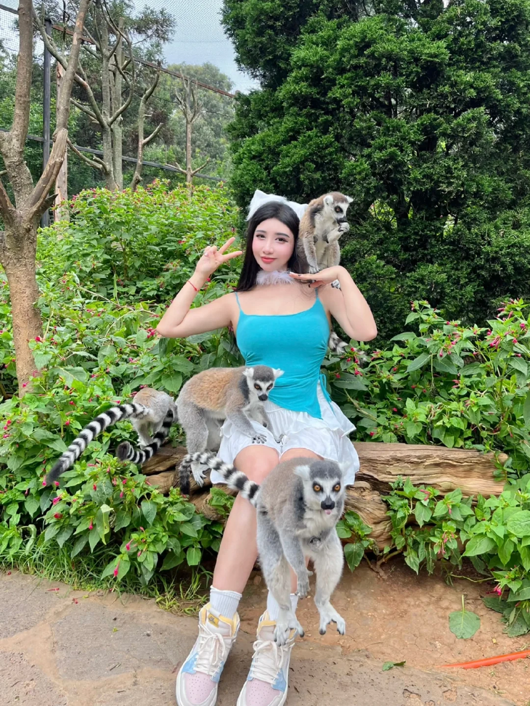在动物园散步才是正经事🐾🦒🦌🐼🐿️
