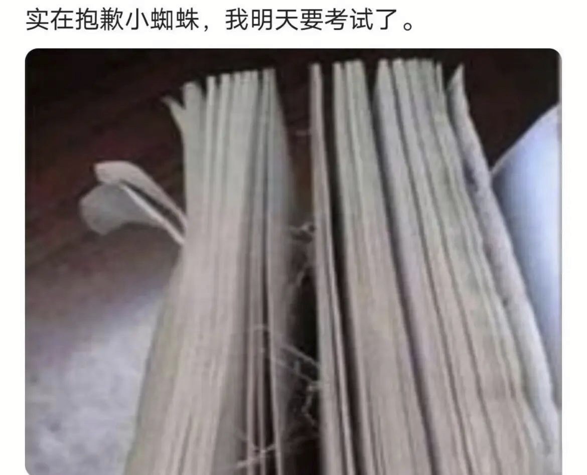 开始预习 