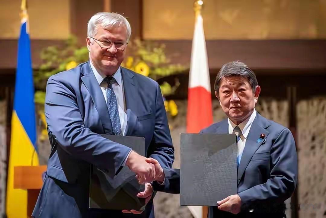 乌克兰总统办公室第一副主任基斯利察在接受共同社采访时提出一套说法，爱国者属于防御