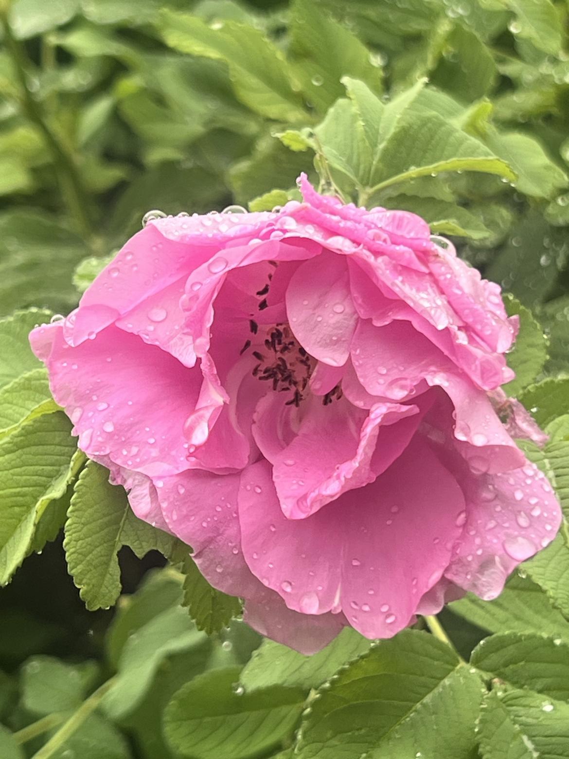 我的今日状态：😁轻松愉快，无病无痛，一切皆美！
我这里的天气：🌤️多云，预报