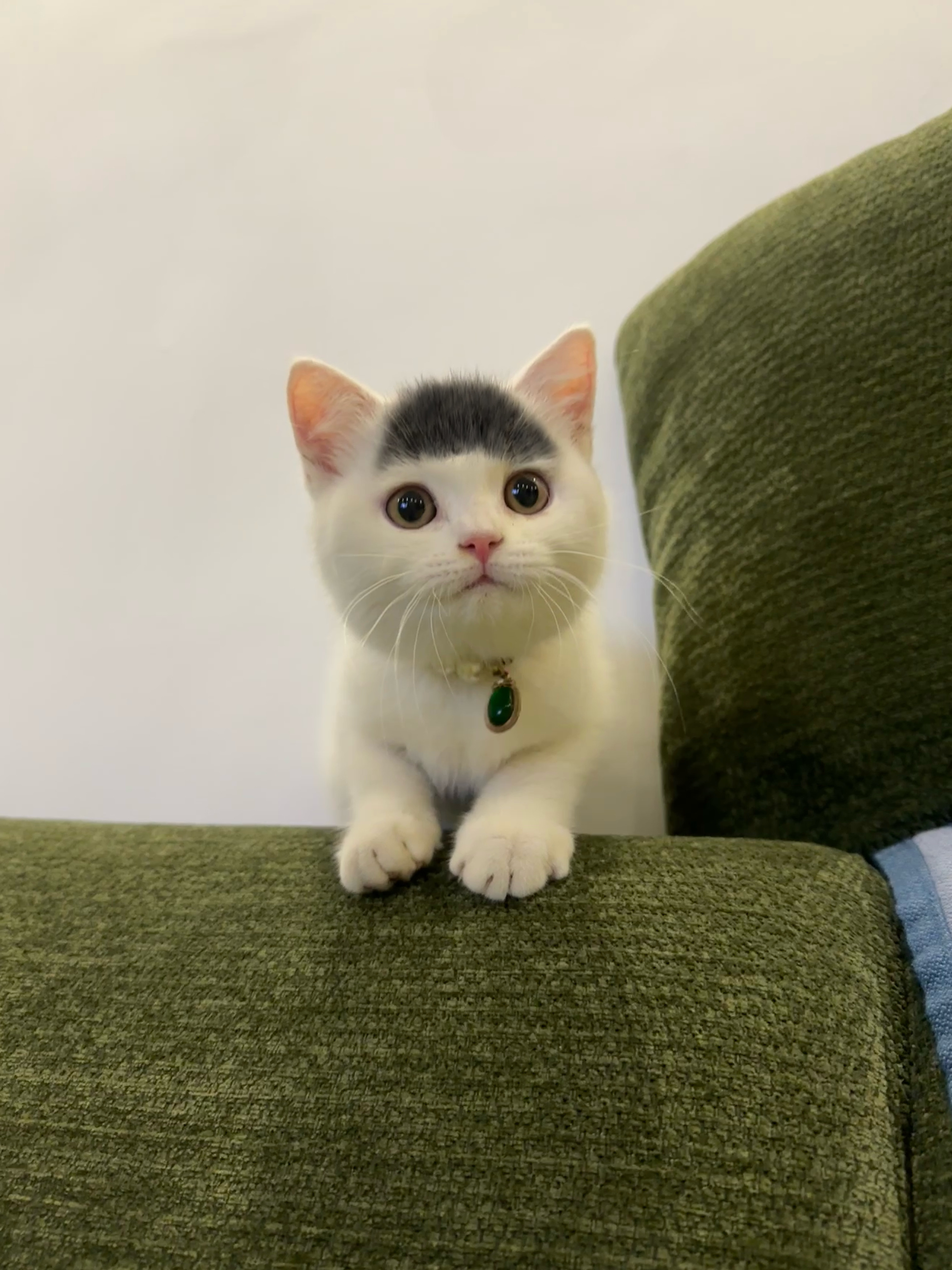 咪的发型很曼妙 