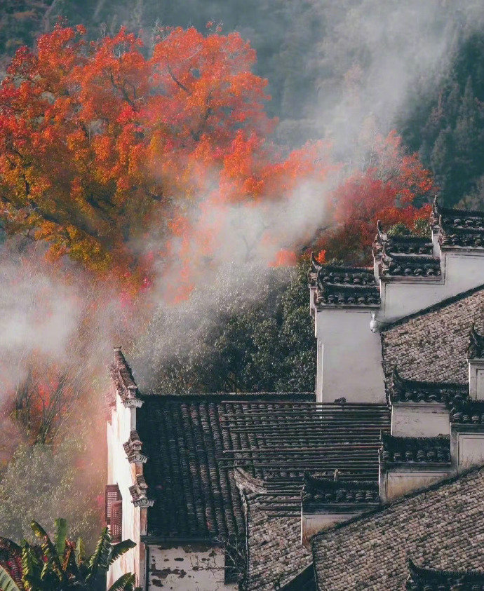 “ 江西 · 婺源秋色 ... ” 