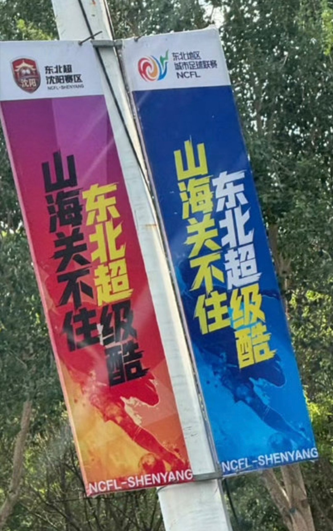 山海关不住东北超级酷关内的朋友们，你们还好吗
