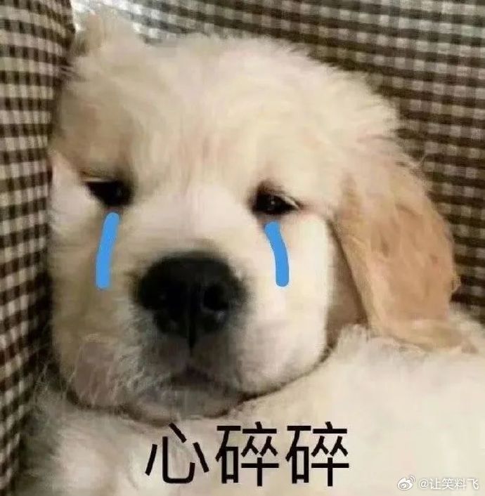 有肖战的消息吗？我真的要哭T﹏TT﹏TT﹏TT﹏TT﹏TT﹏T ​​​