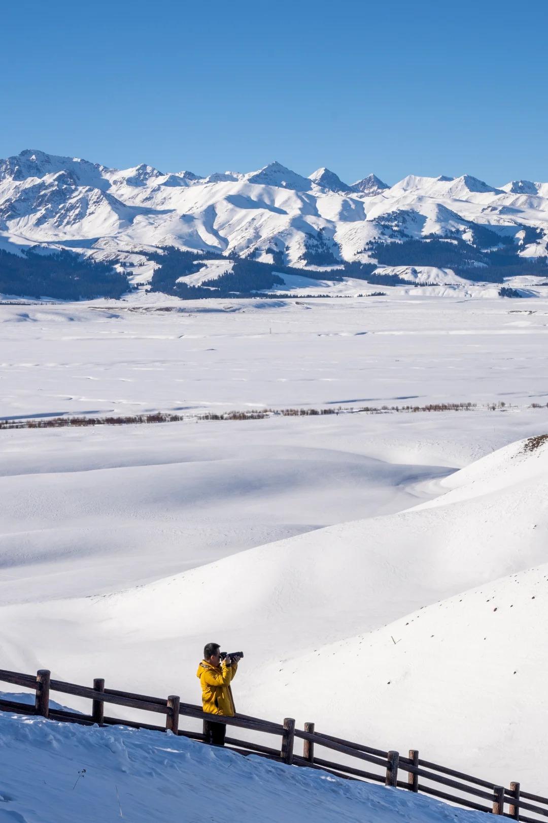 冬日的伊犁，是奇幻的童话世界
冬日的伊犁，每一个画面都可以当作屏保。
无论是静谧