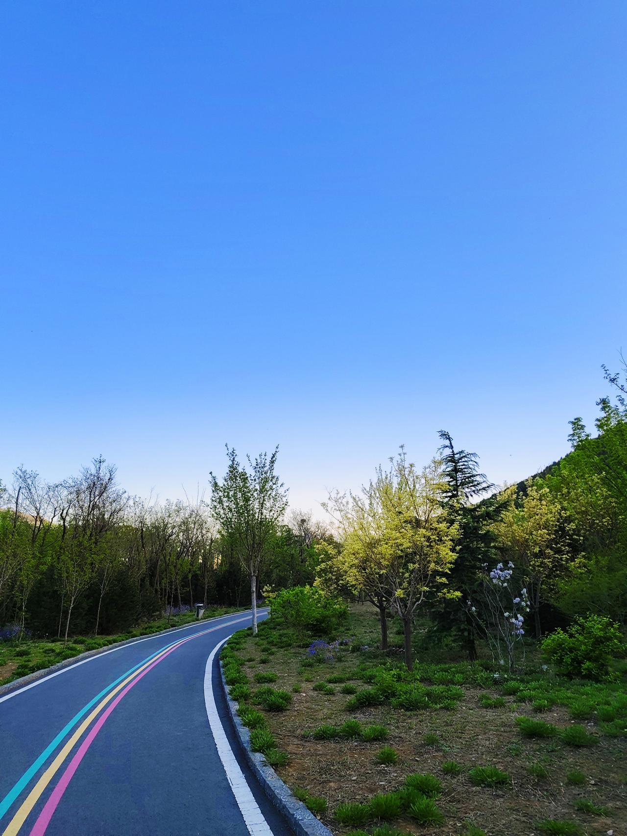 静静的佛慧山南门，最近随着天气转暖，春暖花开，来这里散步游玩的人越来越多了。我和