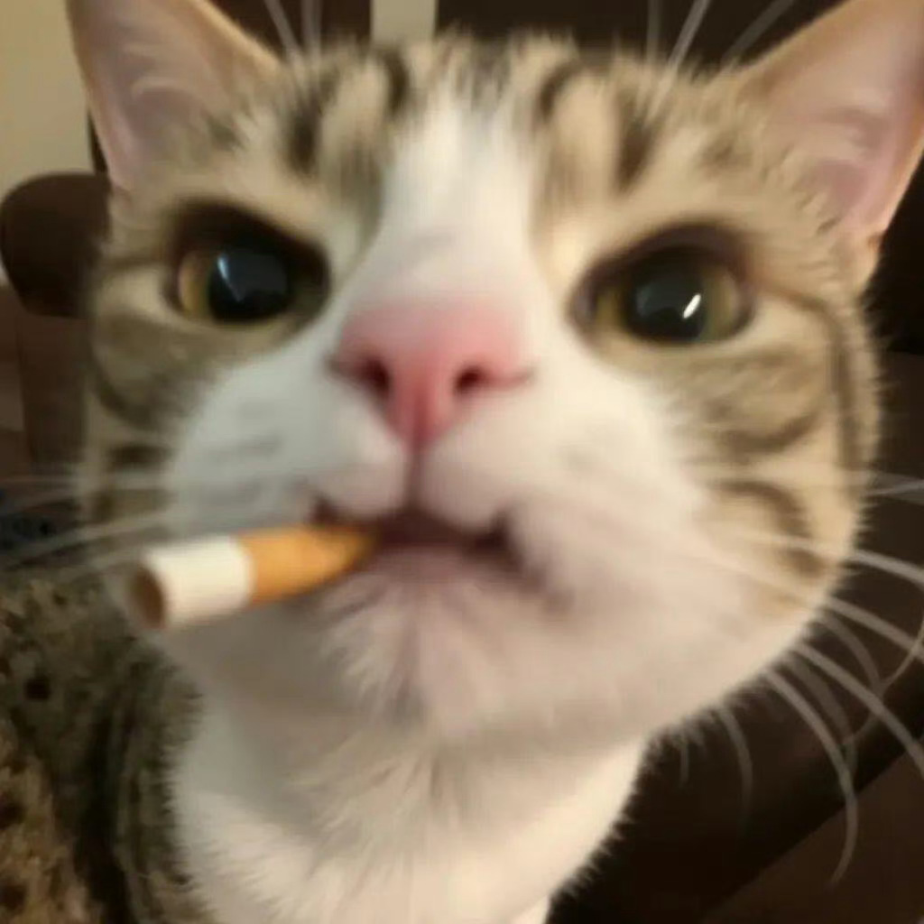奥菲秀来了  ​​​