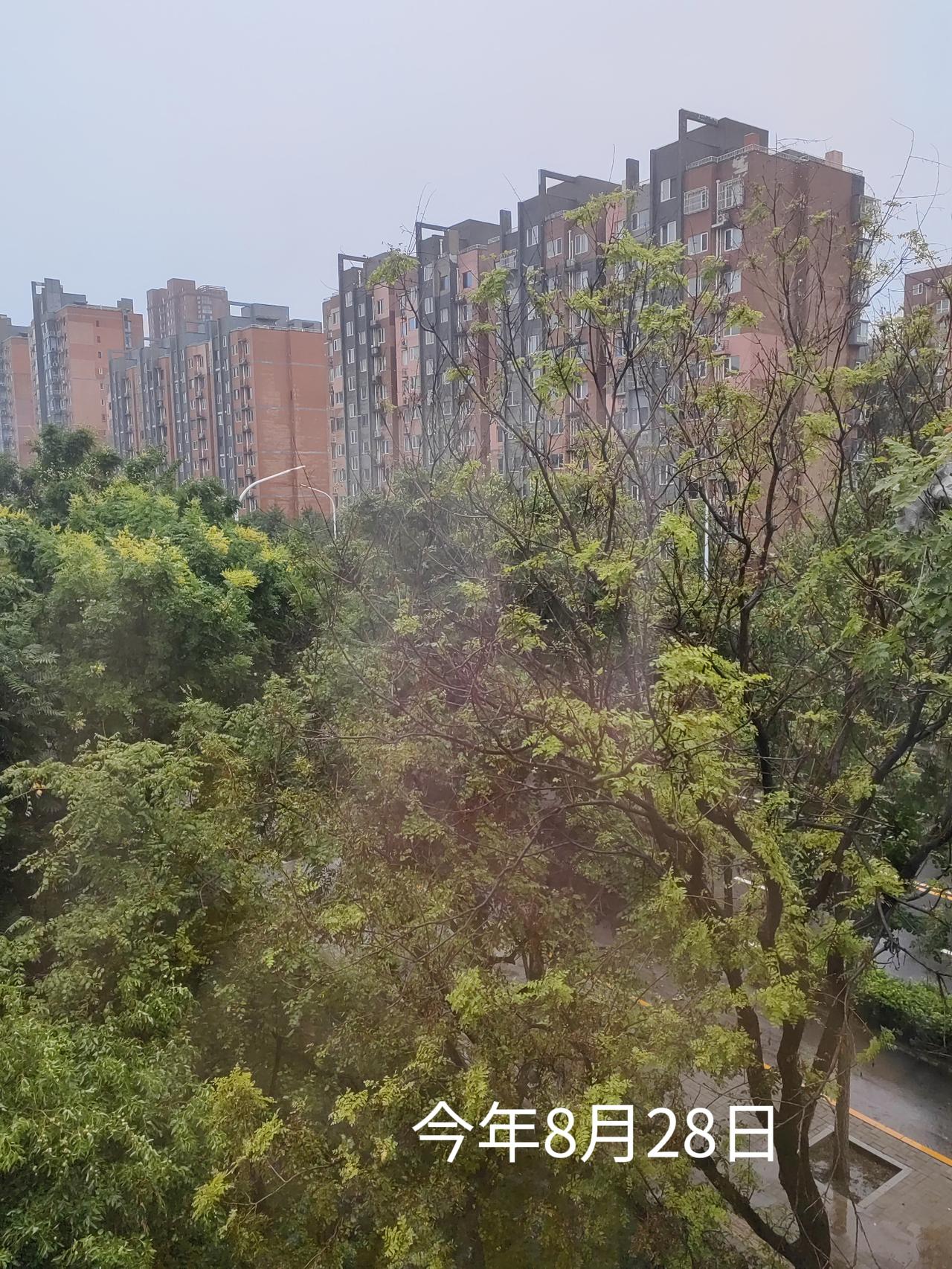 半夜沙发上醒来就睡不着了，起来去看看两娃，又盯着老公看了会，心里生出好些年头。