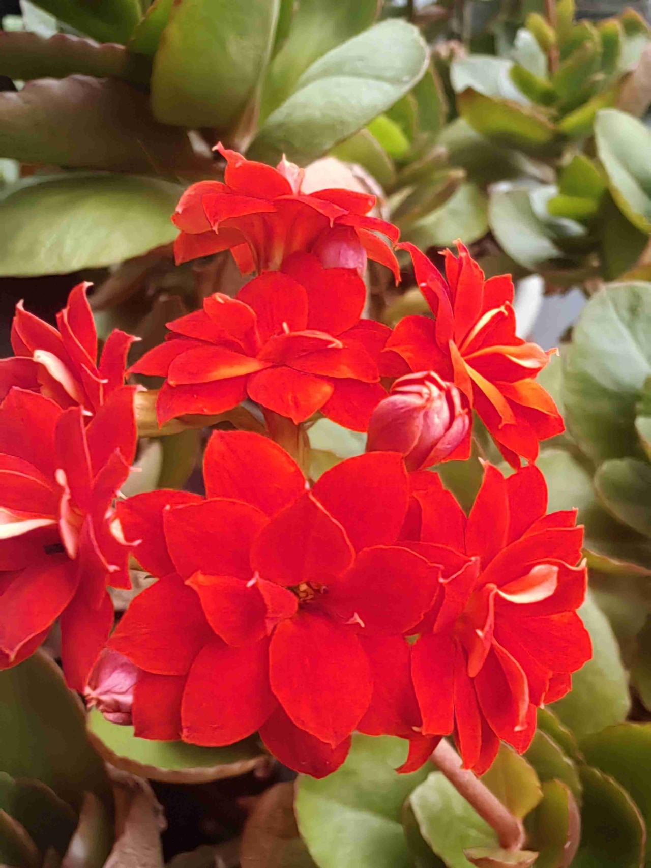 我的今日状态：😁轻松愉快
我这里的天气：☀️晴天