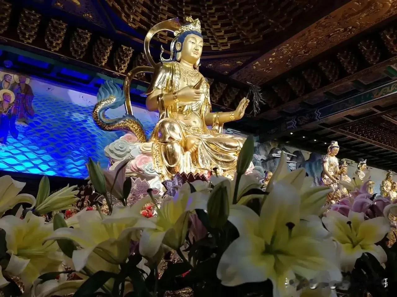 伤害你的人是来渡你的，

他们教会了你，成全了你，成就了更好的你。

最好的人给