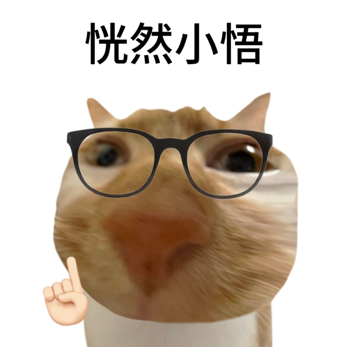 厉害了，微博都被氵瘫痪了！氵预兰能不能消停点
