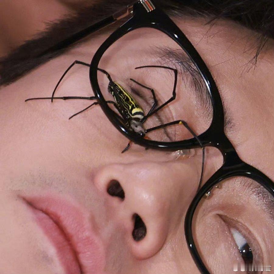 毒蜘蛛爬上邓超的脸太夯了 