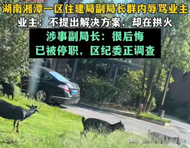 辱骂业主被停职？90后副局长自称很后悔！