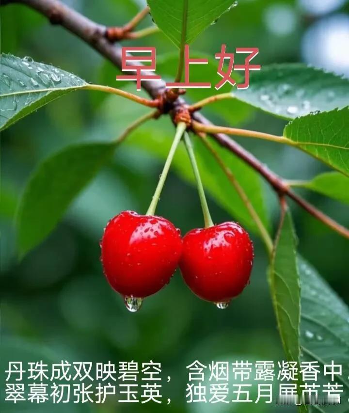 早上好呀，不负晨光，不负自己，每天都闪闪发光。