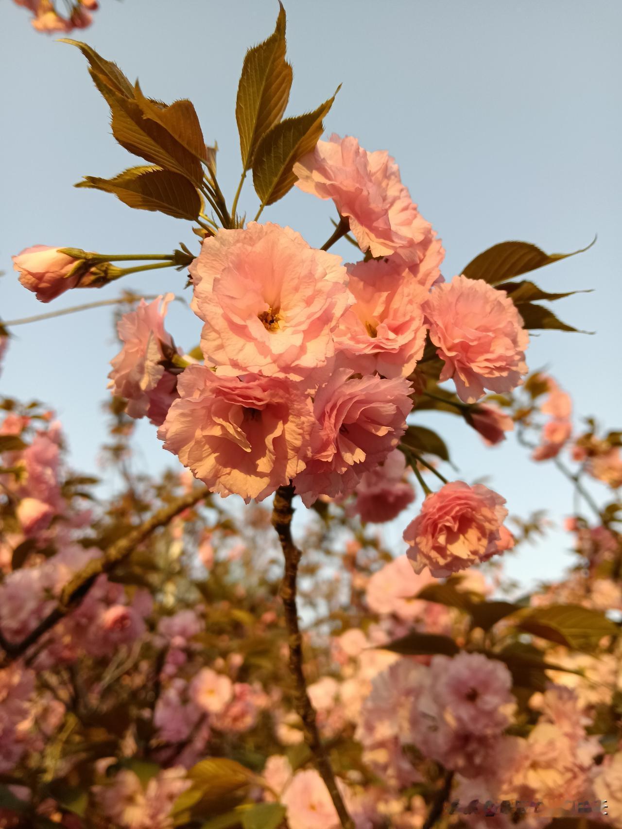 怎样保持精力旺盛？
睡觉是首要的滋补良方。
愧疚与恐惧是消耗能量的两大杀手。
自