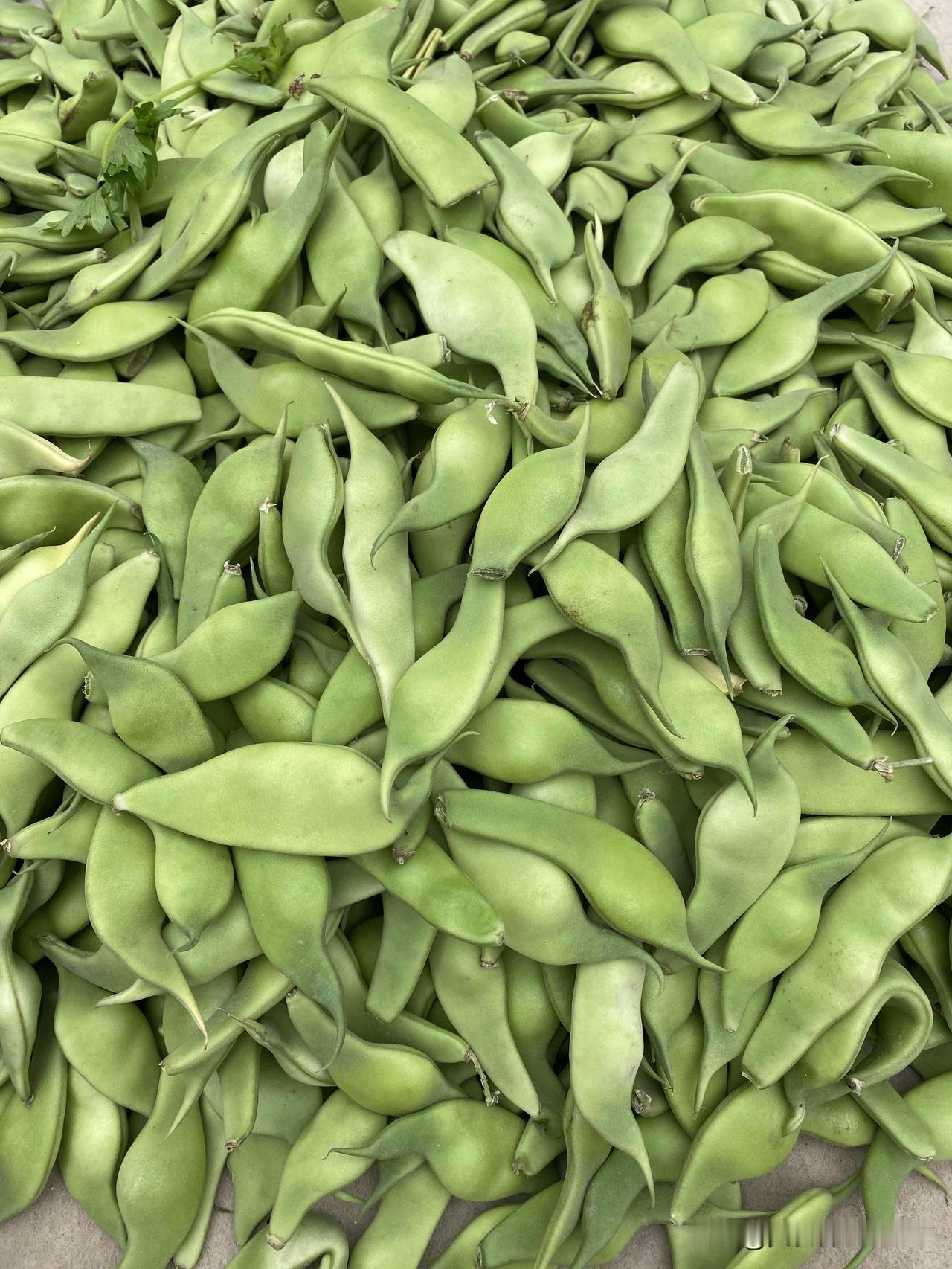 看看沈阳市场的蔬菜价格：
油豆角：5.5元
西红柿：3元
西兰花：4元
花豆角：