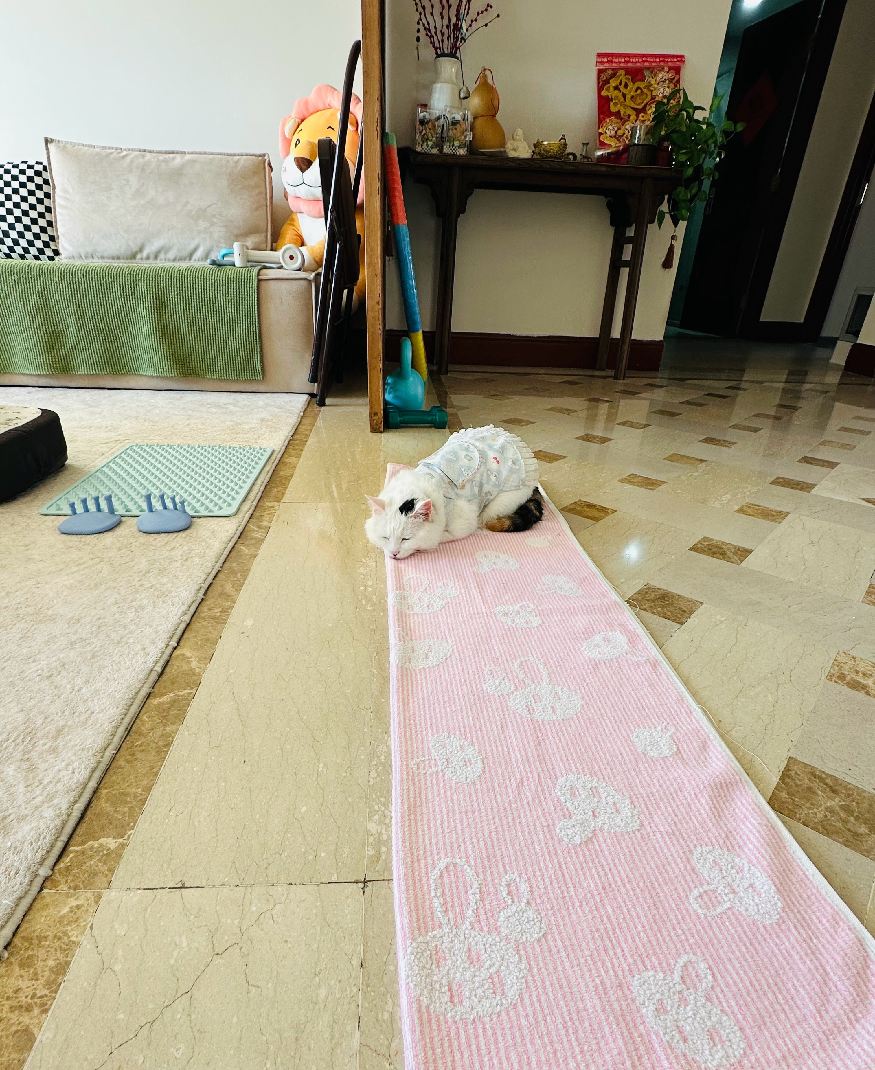 只要你坚信“有钱能使鬼推磨”，身边就不缺各种鬼。 