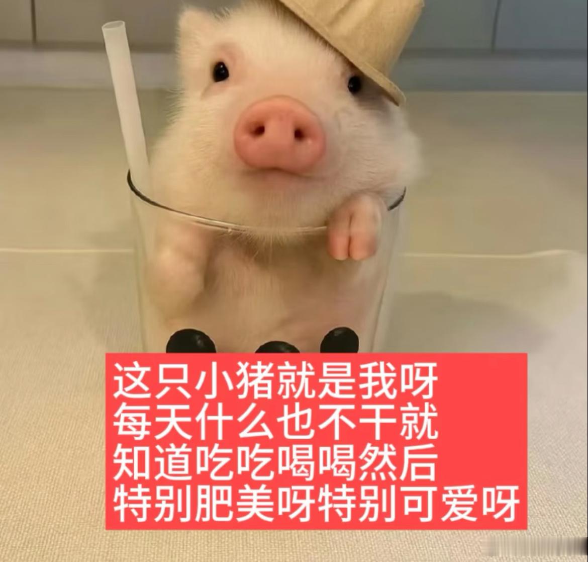 晚安💤 ​​​