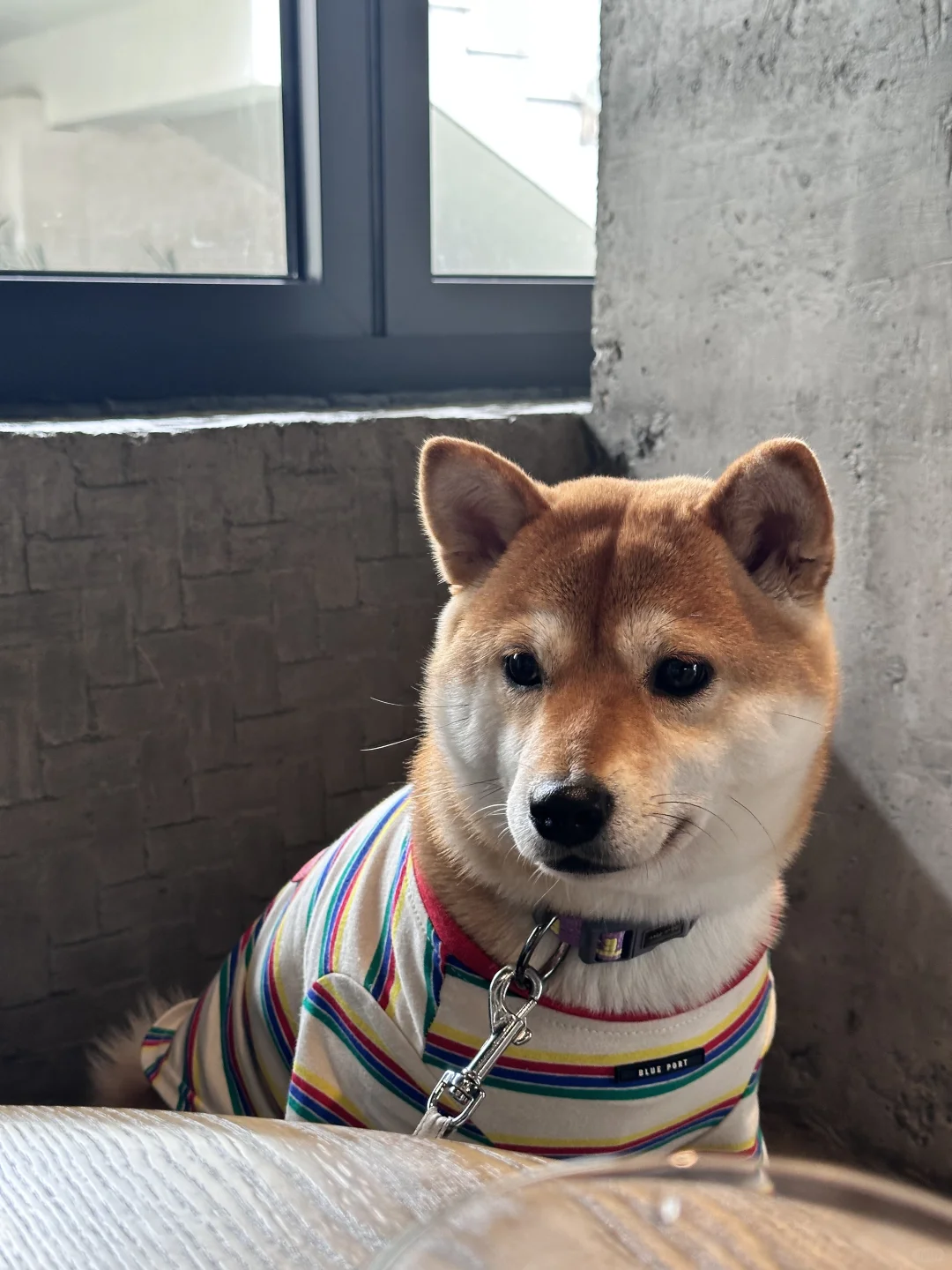 实况图 也太桀骜不驯了吧