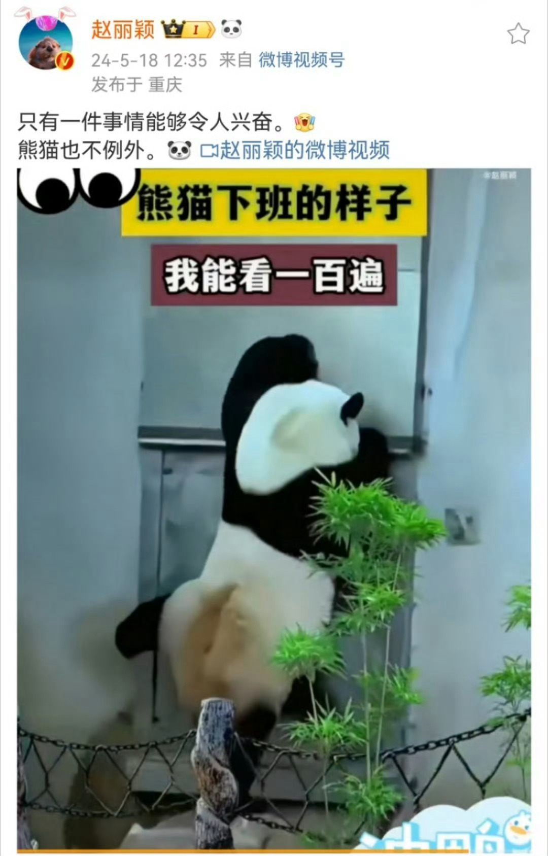 #赵丽颖 只有一件事情能够令人兴奋# 是喜欢分享日常的赵丽颖，太可爱了吧～[爱慕