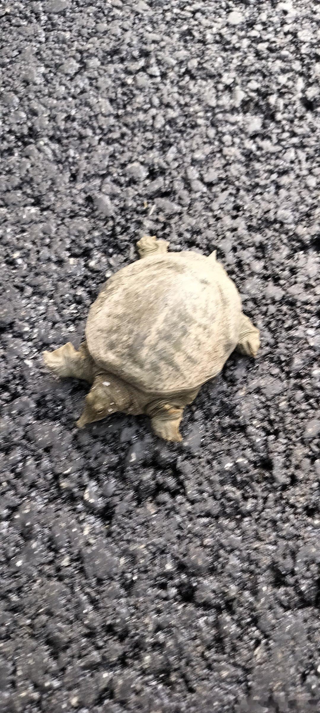 雅儒随手拍