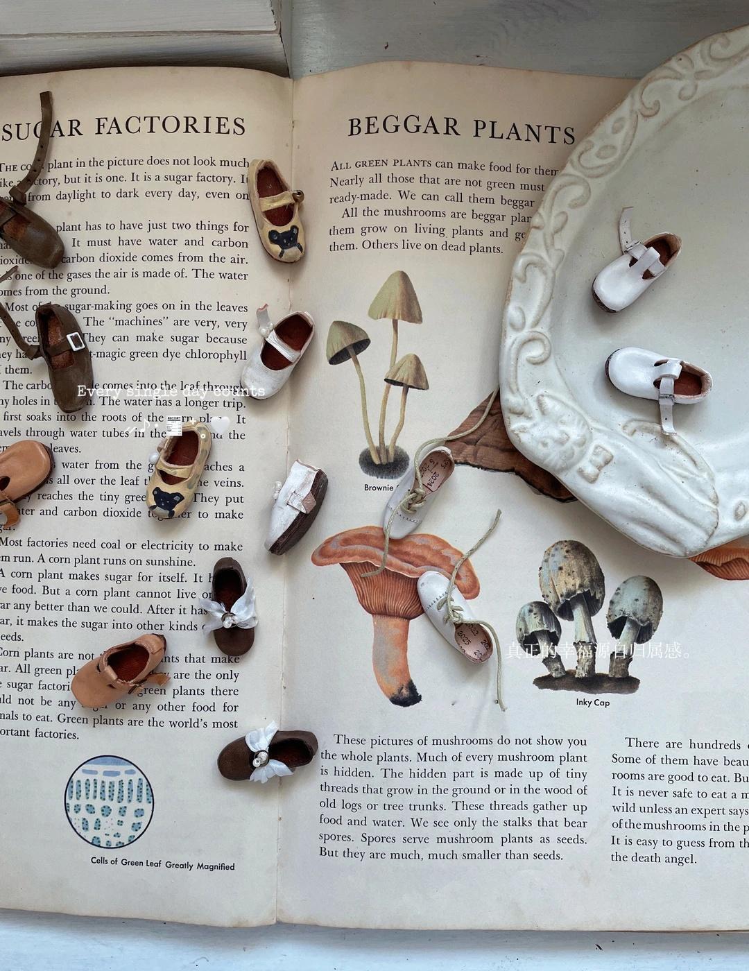 今日鞋履分享 一些小合集🍄‍🟫
立个可能会倒的flag
大人也要玩玩具
ta